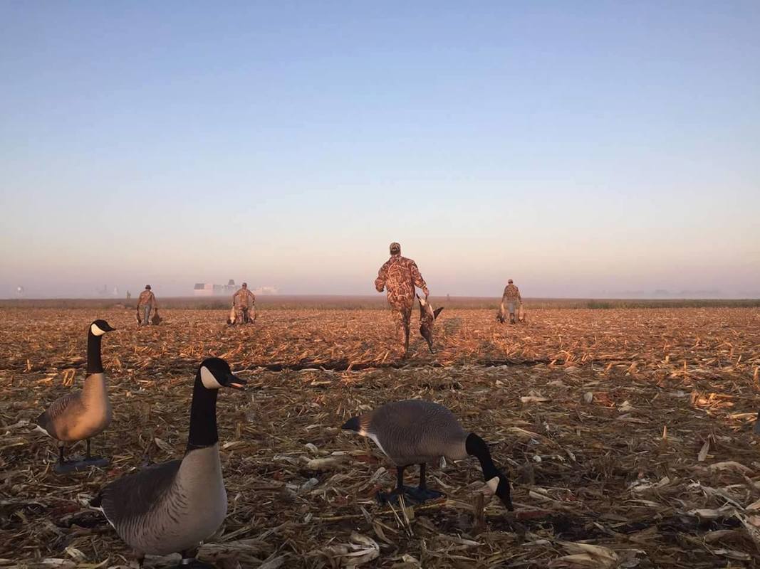 Guided Goose Hunt