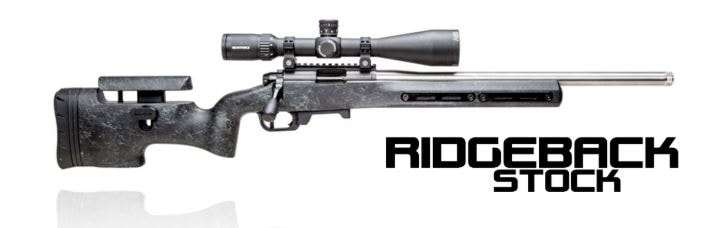 Vudoo Gun Works Ridgeback Stock Grayboe v22 22lr